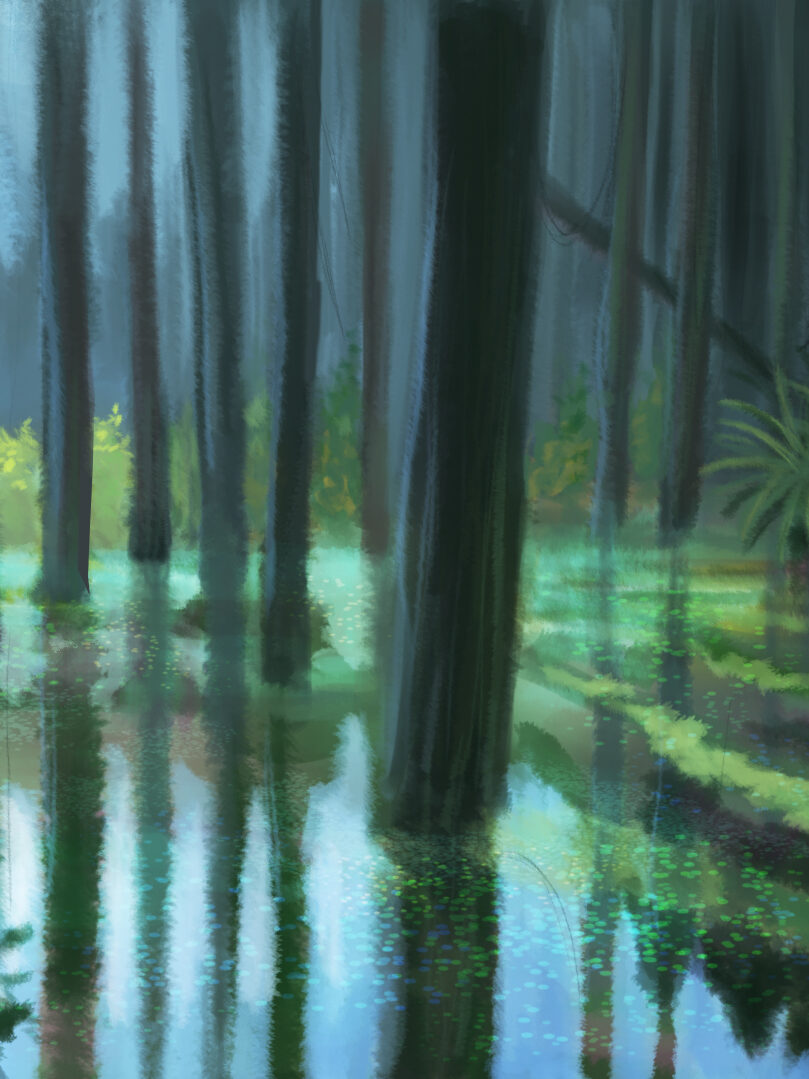 cropped-marais.jpg